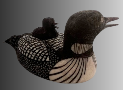 Common Loon Feeding Chick